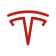 Icon Tesla Partner